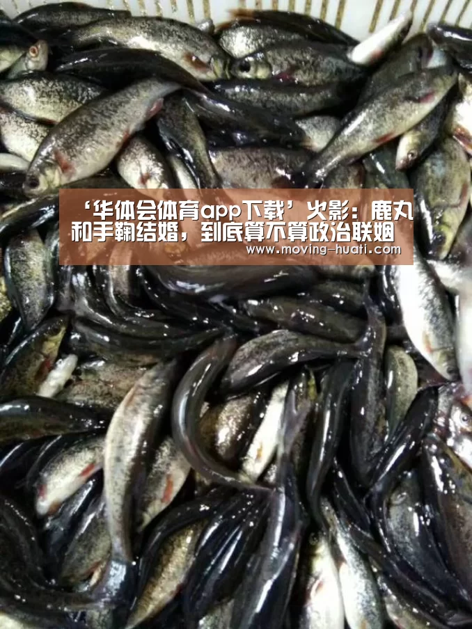 ‘华体会体育app下载’火影:鹿丸和手鞠结婚,到底算不算政治联姻?细节证明绝对算(图2) 华体会官方网站入口