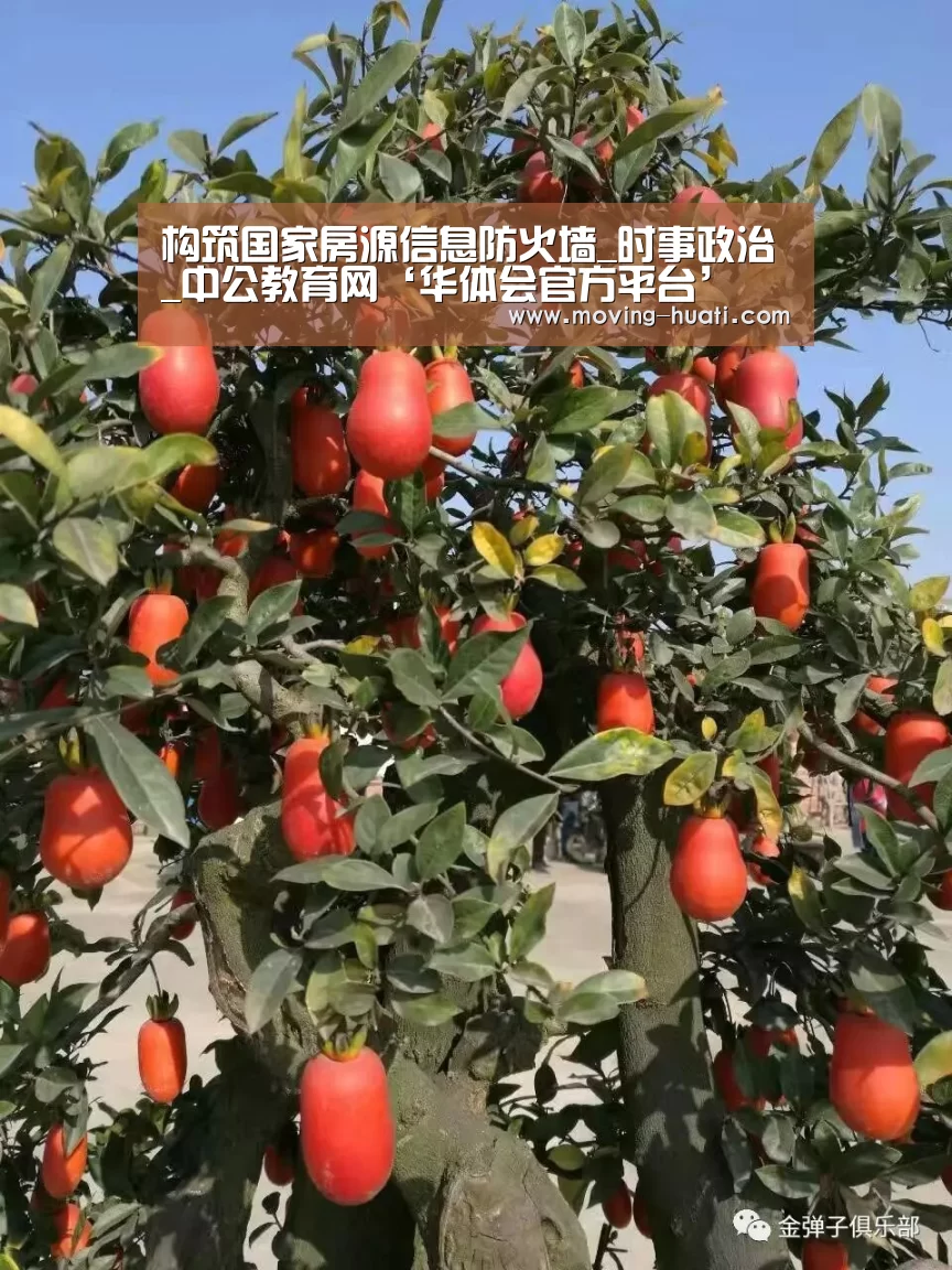 华体会官方网站入口