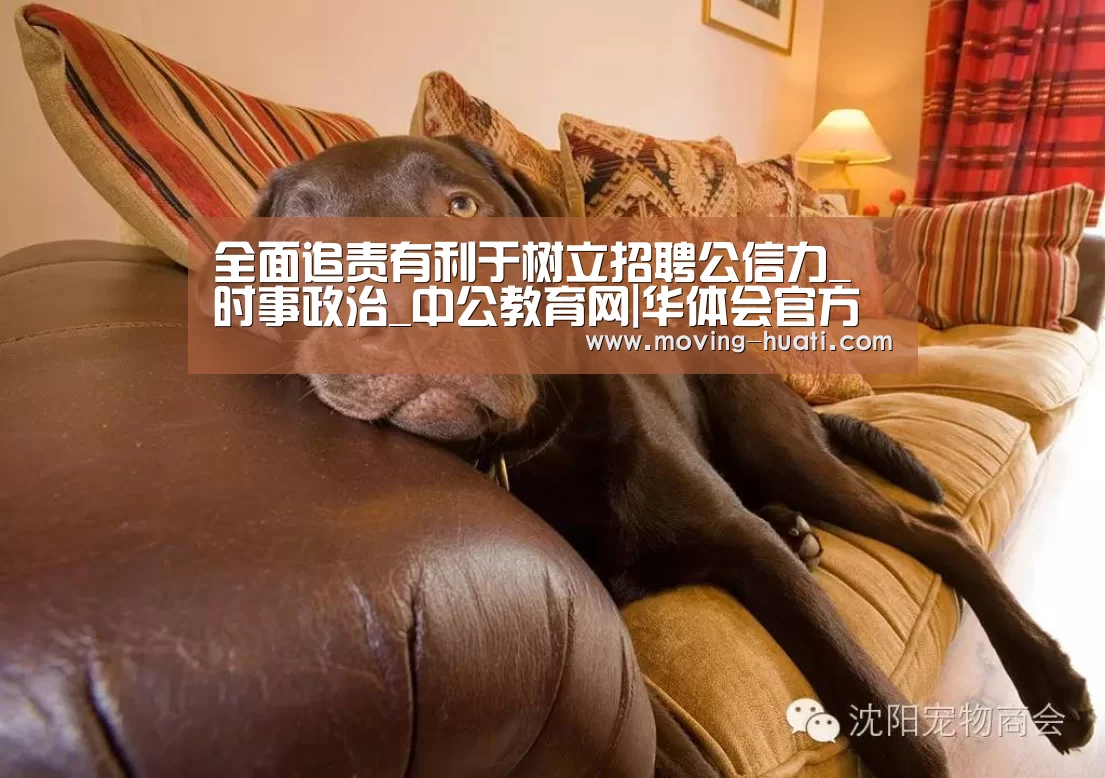 华体会官方网站入口
